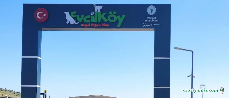 Belediye Hayvan Barınağı Yozgat