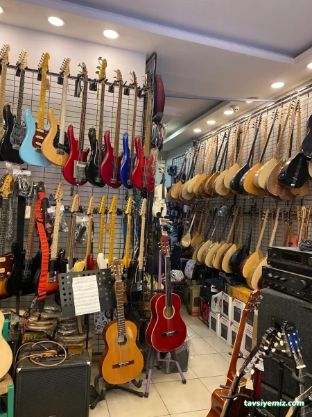 Bengisu Müzik (Enstrüman Satışı & Kursları)