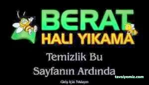 Berat Halı Ve Koltuk Yıkama