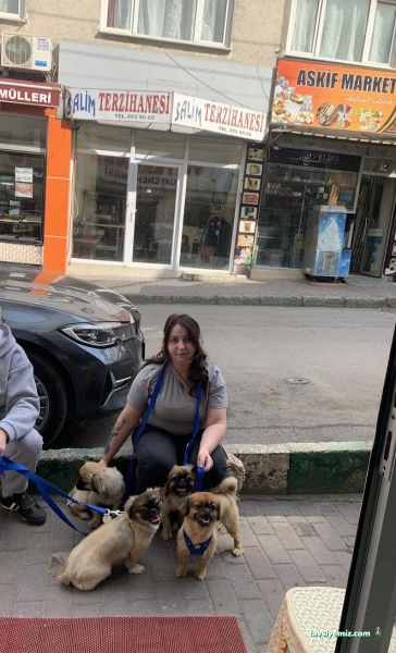 Best Vet Veteriner Muayenehanesi