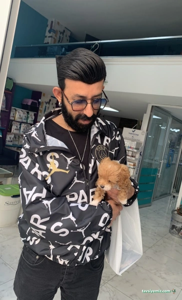 Best Vet Veteriner Muayenehanesi