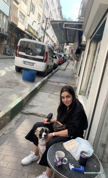 Best Vet Veteriner Muayenehanesi