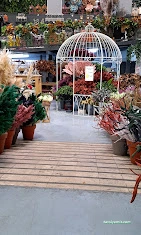 Beyazlale Çiçekçilik Çiçek Market