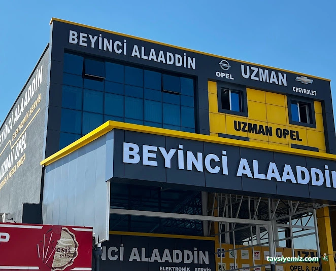 Beyinci Alaaddin