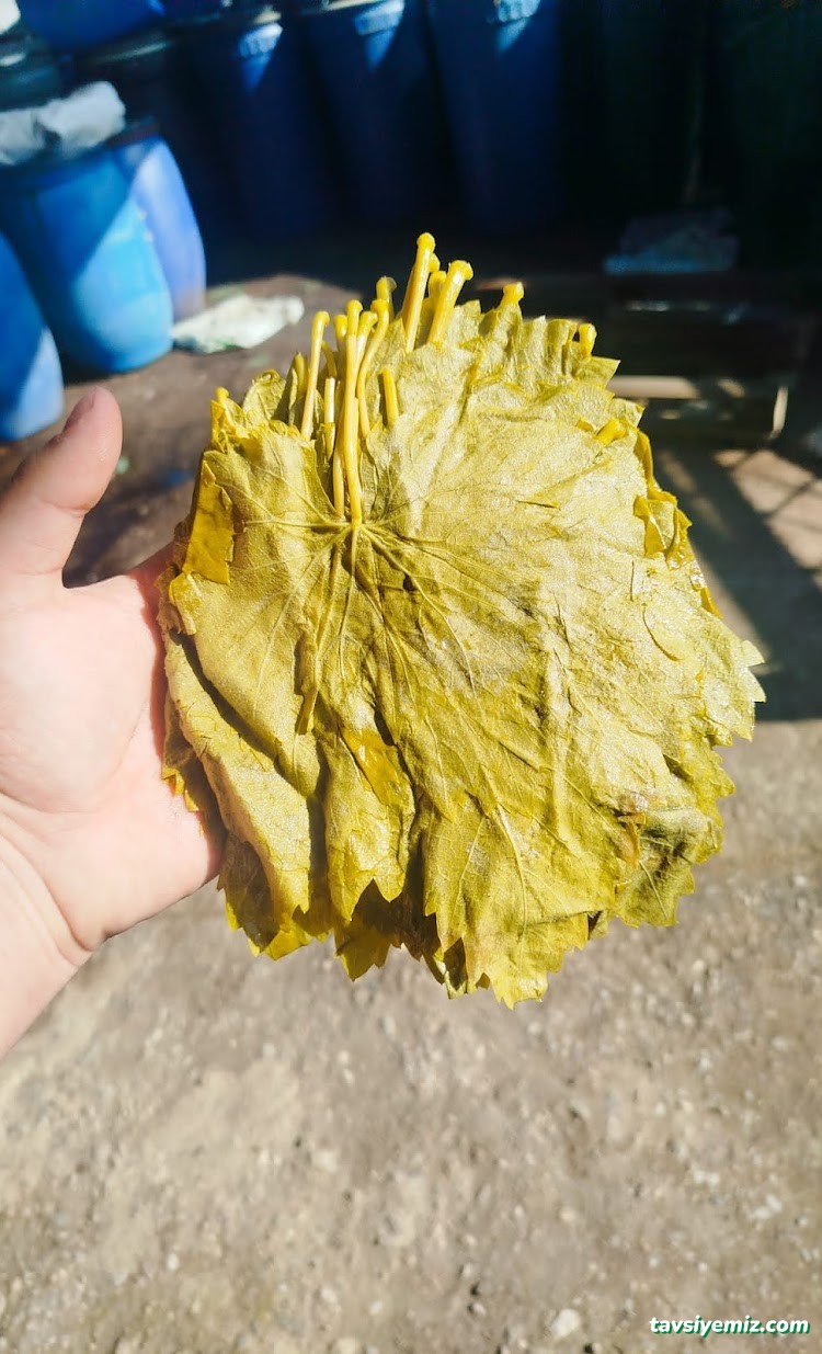 Sefa Halk Pazarı Arap Vurgun