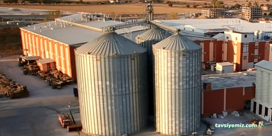 Bifa Bisküvi Ve Gıda San. A.ş.