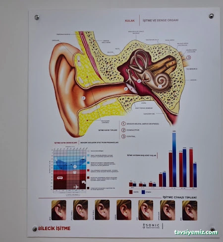 Bilecik İşitme Merkezi - İşitme Cihazları Satış Ve Uygulama Merkezi