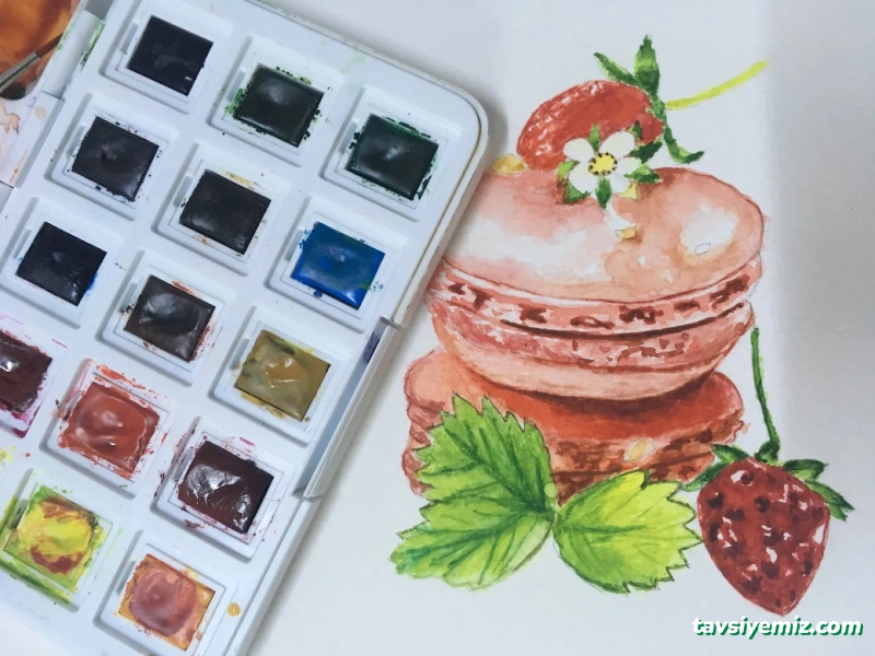 Bilim Ve Sanat Okulu