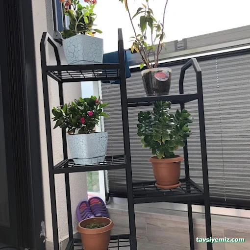 Bingöl Dekor Tasarım