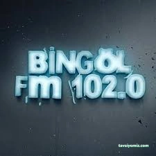 Bingöl Fm