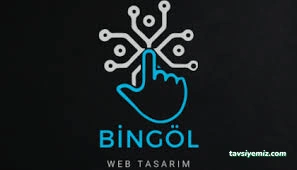 Bingöl Online