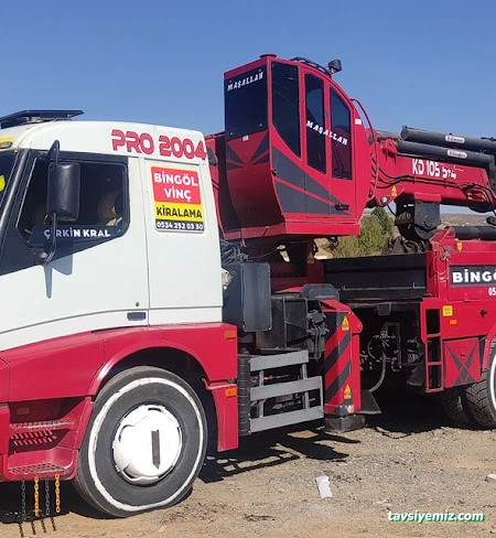 Bingöl Vinç Kiralama