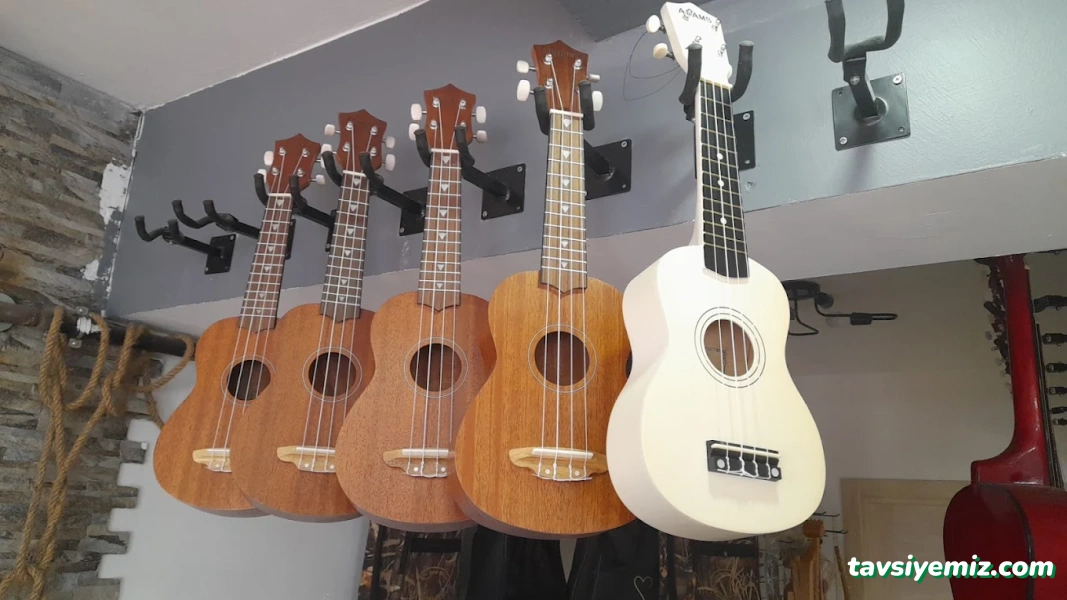 Bircan Müzik Evi /Kurs Merkezi