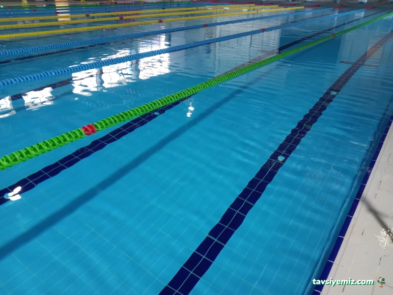 Birlikte Yüzme Spor Kulübü