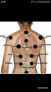 Bitlis Sülük İle Tedavi Merkezi