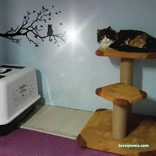 Bize Bırak Kedi Oteli