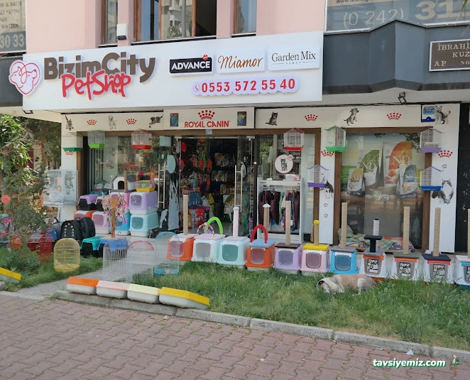 Bizim City Petshop