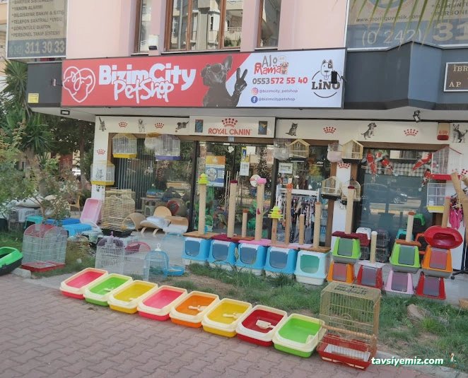 Bizim City Petshop