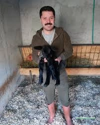 Bizim Veteriner Polikliniği