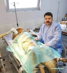 Bizim Veteriner Polikliniği