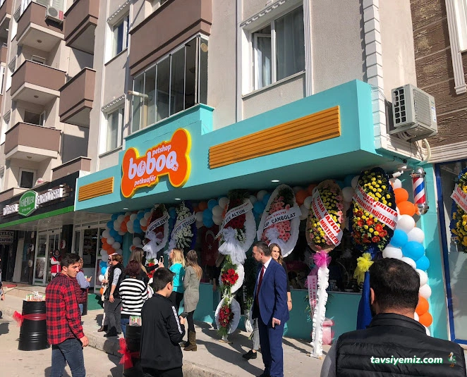 Boboo Pet Shop & Kuaför