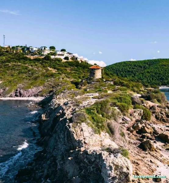 Bodrum Fayans Ustası Mehmet Vefa