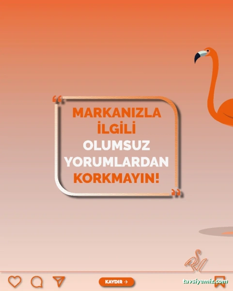 Bolu Dijital Reklam Ajansı - Via Creative A.ş.