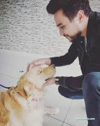 Bolu Vet374 Veteriner Kliniği