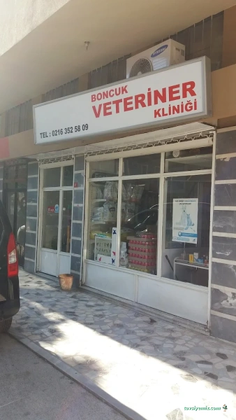Boncuk Veteriner Kliniği