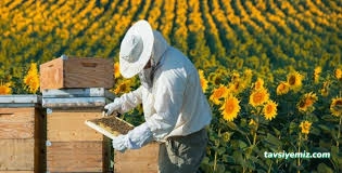 Borçka Halk Eğitimi Merkezi