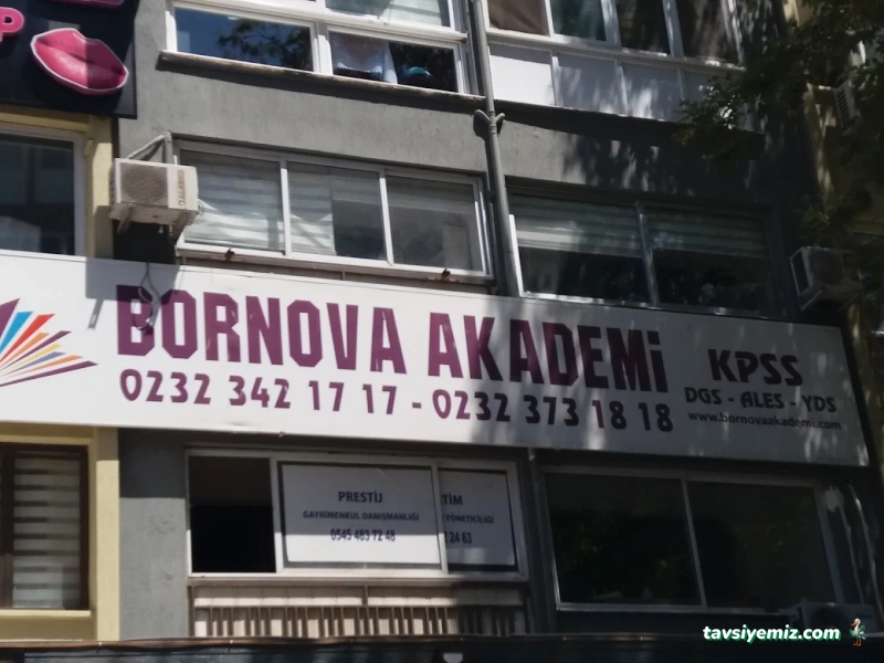 Bornova Akademi