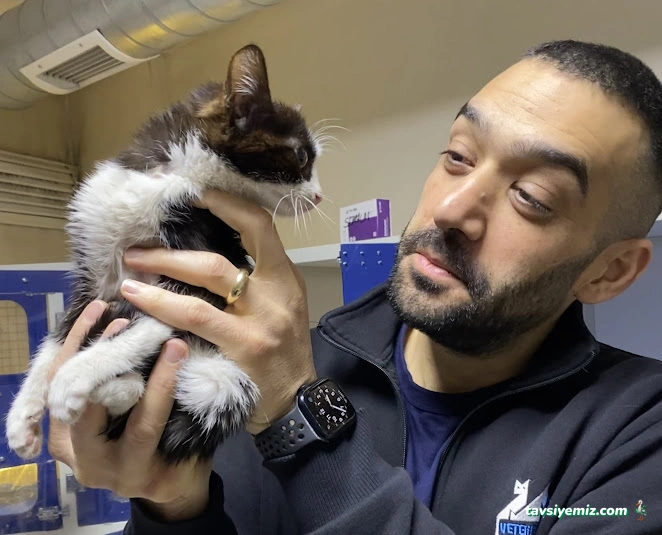 Bornova Doğa Veteriner Polikliniği