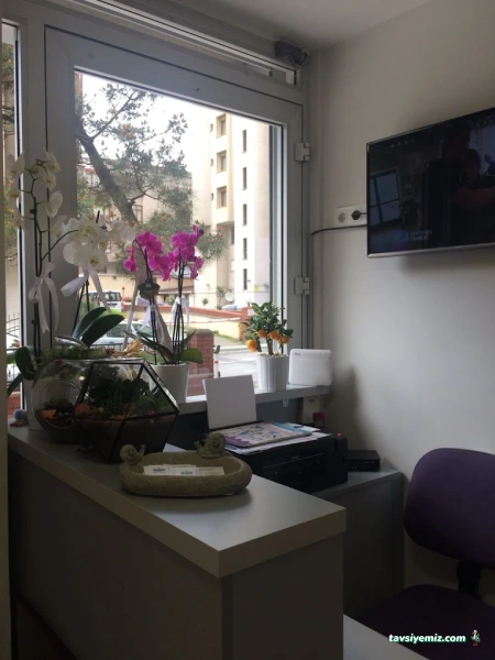 Bostancı Veteriner Muayenehanesi / Kliniği