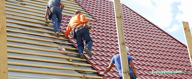 Bozkurtlar İnşaat & Nakliye