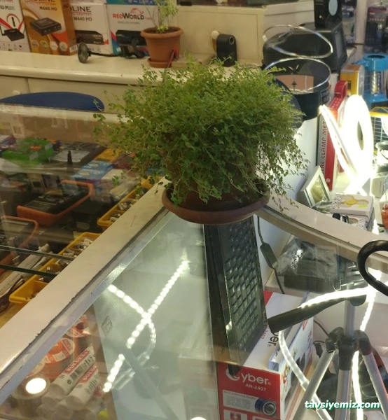 Bulvar Elektronik, Muş Redline Uydu Sistemleri