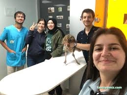 Bulvar Veteriner Kliniği