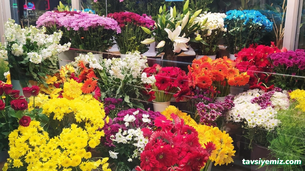 Burdur Kardelen Çiçekçilik