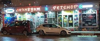 Bursa Cihan Akvaryum & Petshop