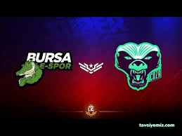 Bursa E Spor