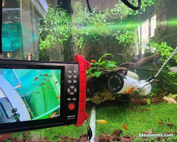 Bursa Güvenlik Bilişim Hizmetleri