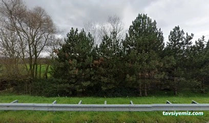 Bursa Polisaj - Tarhan Polisaj