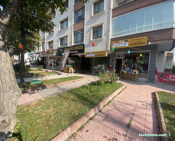 Business Berber | Etlik Berber