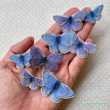 Butterfly Accessories
