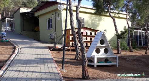 Büyükşehir Belediyesi Hayvan Barınağı