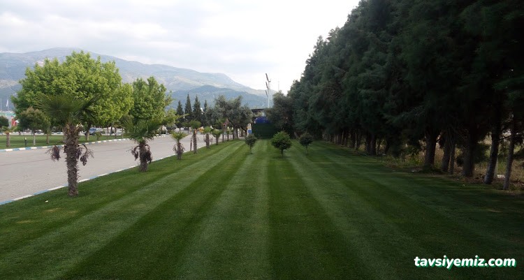 Manisa Olimpik Yüzme Havuzu