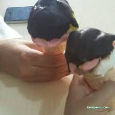 Yılmaz Dondurma&Tatlı