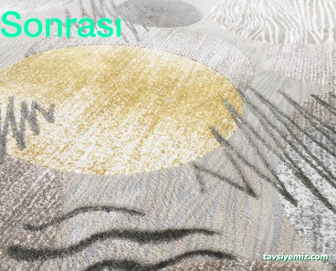 Saray Halı Yıkama Tokat