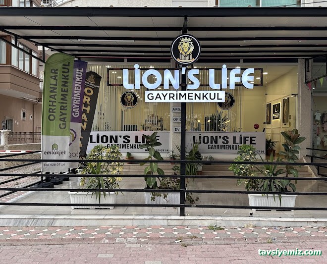 Dörtyol Lion's Life Gayrimenkul