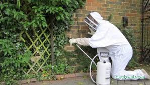 General, Ataşehir Mh, Eşref Bitlis Cd. No: 7, 23100 Elazığ Merkez/Elazığ