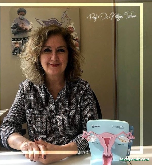 Tüp Bebek Tedavisi İstanbul - Prof. Dr. Nilgün Turhan